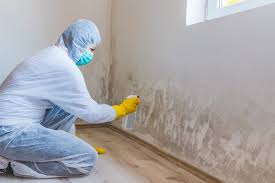 Why You Should Choose Our Mold Remediation Services in Savage, MN